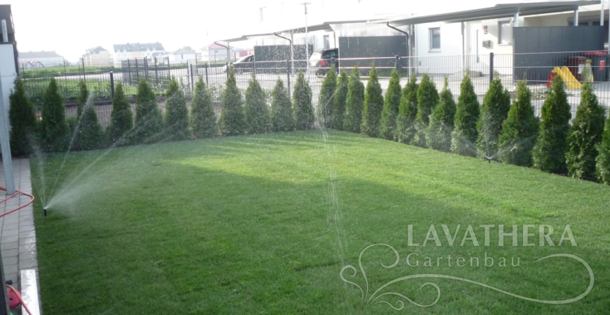 Rollrasen, Bewasserungsanlage und smaragd tujen