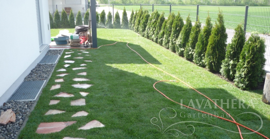 Rollrasen, Bewasserungsanlage und smaragd tujen