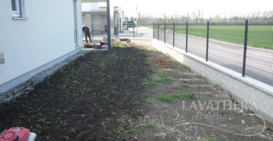 Rollrasen, Bewasserungsanlage und smaragd tujen