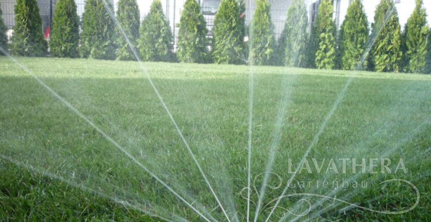 Rollrasen, Bewasserungsanlage und smaragd tujen