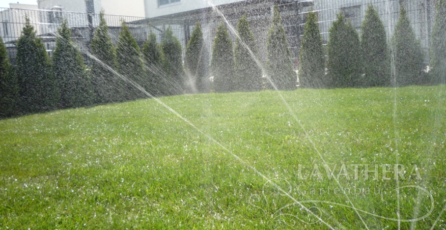 Rollrasen, Bewasserungsanlage und smaragd tujen