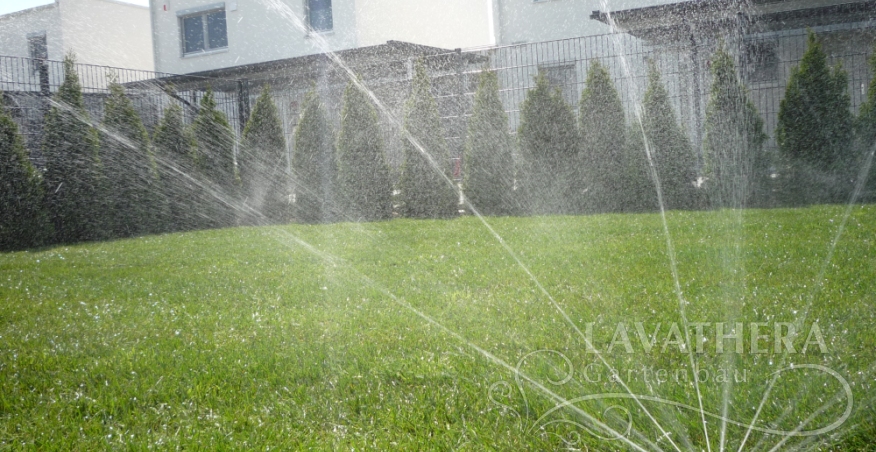 Rollrasen, Bewasserungsanlage und smaragd tujen