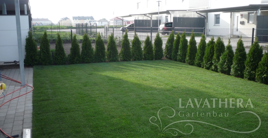 Rollrasen, Bewasserungsanlage und smaragd tujen