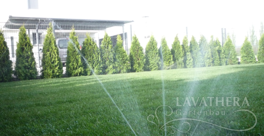 Rollrasen, Bewasserungsanlage und smaragd tujen